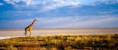 /album/fotogaleria/a12fot-jpg/